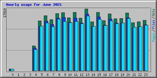 Hourly usage for June 2021